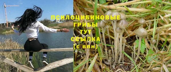 ешки Алексин