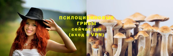 мет Абаза