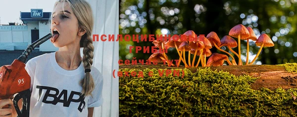 дурь Абинск