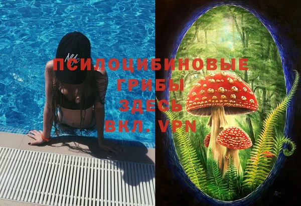 дурь Абинск
