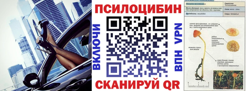 Галлюциногенные грибы GOLDEN TEACHER Суджа