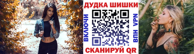 KRAKEN   Суджа  Конопля индика 